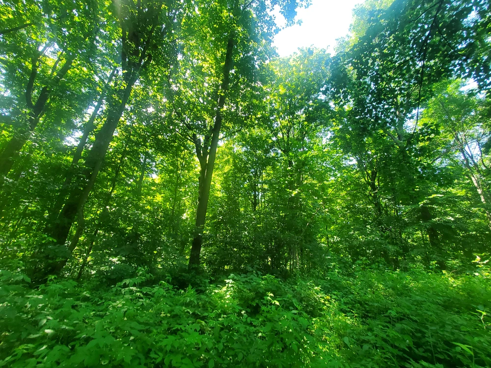 GIF uploaded by Avrey
