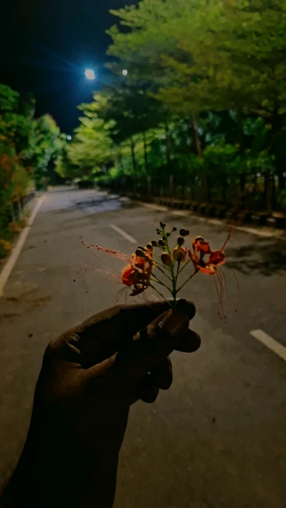 GIF uploaded by Shaik umar farooq