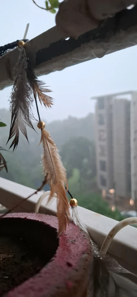 Malay上传的GIF