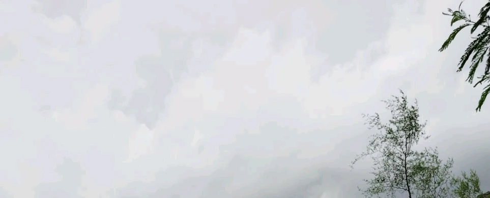 خفيف الظل上传的GIF