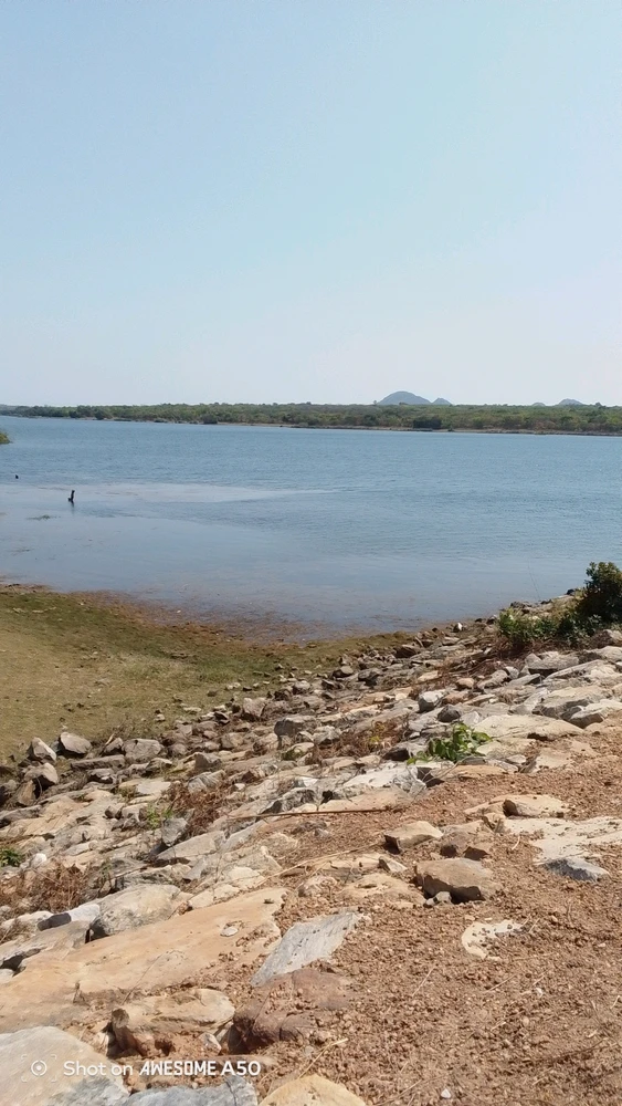 GIF uploaded by Luxe