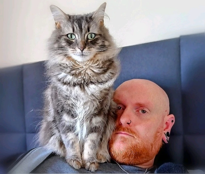 由Andy(bearded ginger)上传的图片
