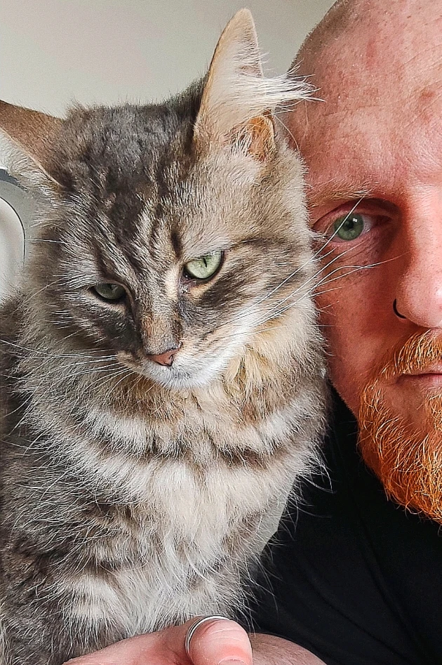 由Andy(bearded ginger)上传的图片