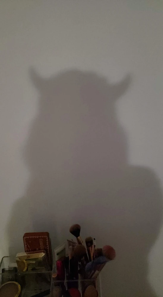 GIF eropgeluede vum shana
