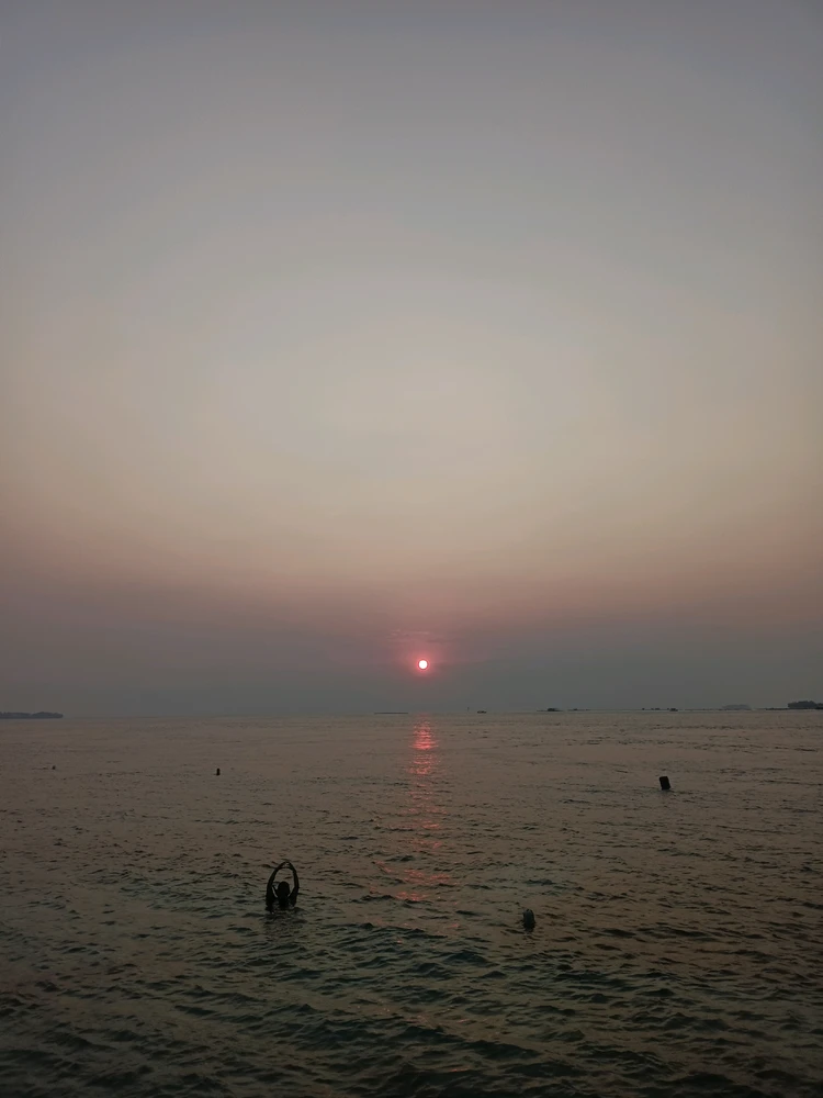 sofi上傳的圖片