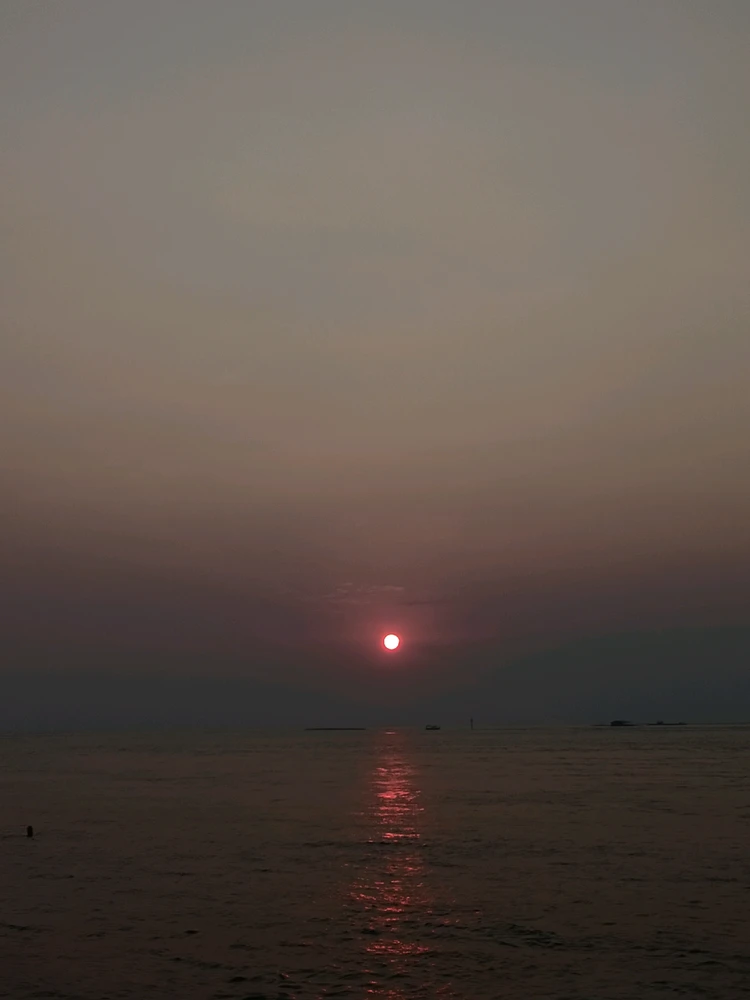sofi上傳的圖片