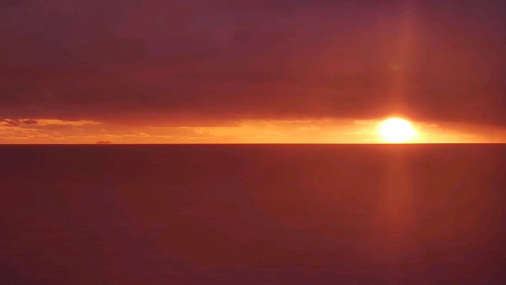 Andrew 上傳的 GIF