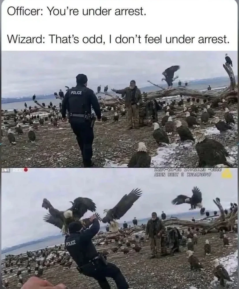 Andreas上传的GIF