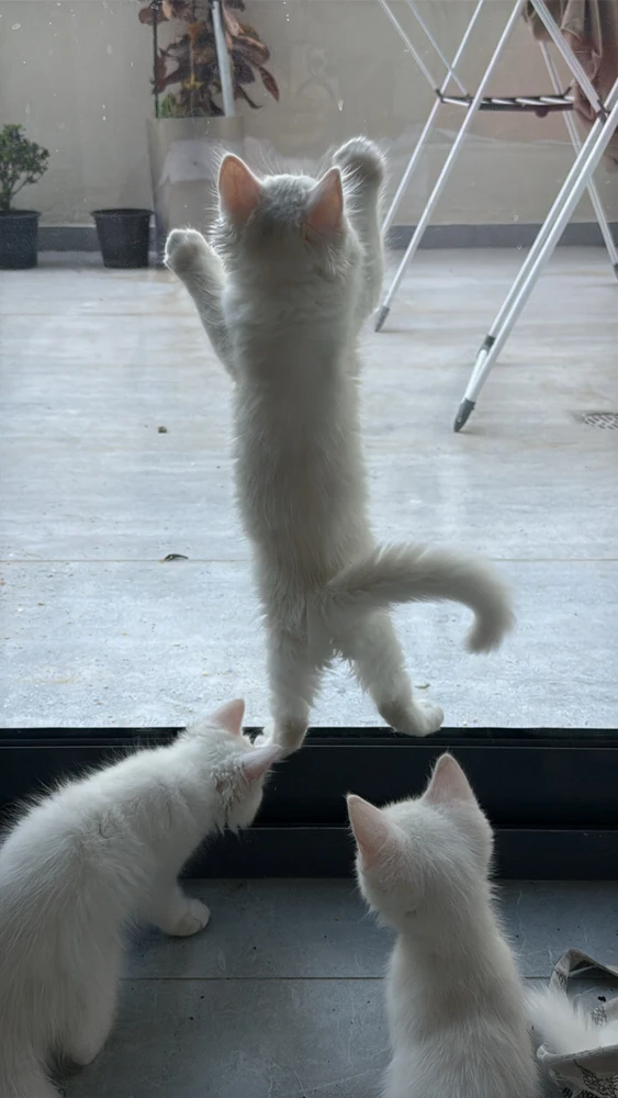 GIF uploaded by shyam