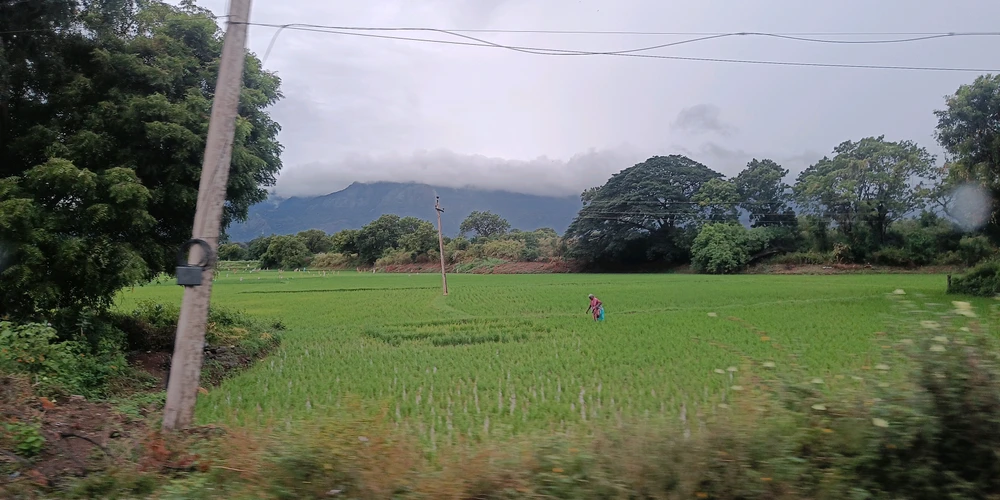 Surya上传的GIF