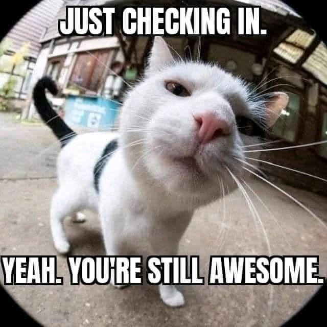 GIF uploaded by Aida
