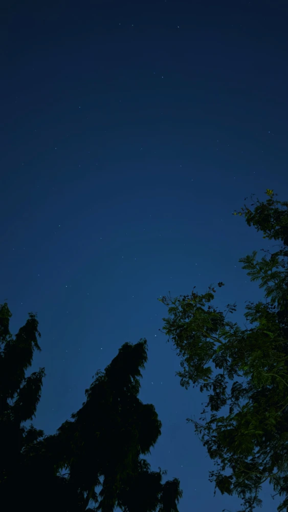 MRN上传的GIF