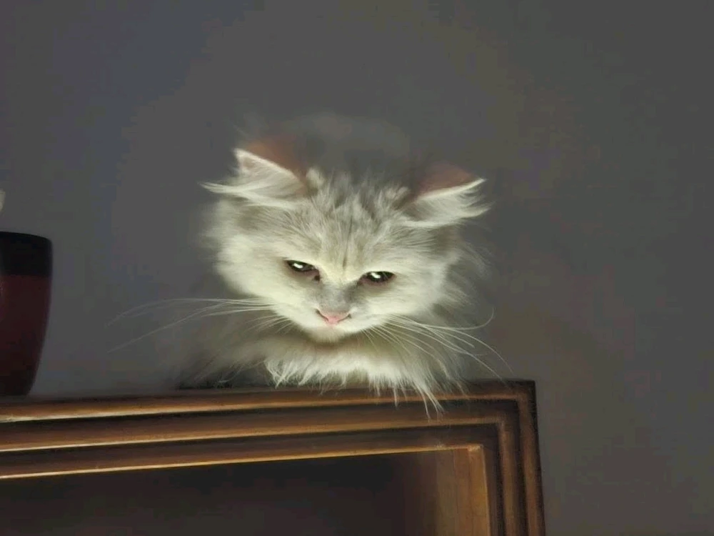 Arib tomonidan yuklangan GIF