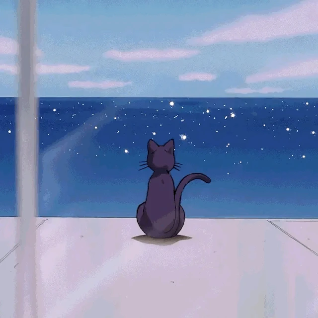 K上传的GIF