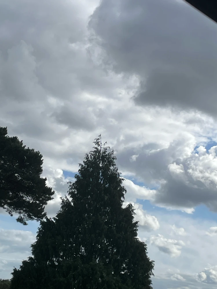 Dylan അപ്‌ലോഡ് ചെയ്ത GIF