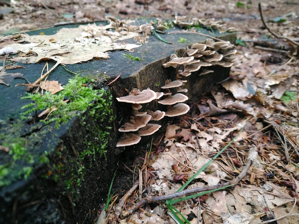 GIF uploaded by Stijn