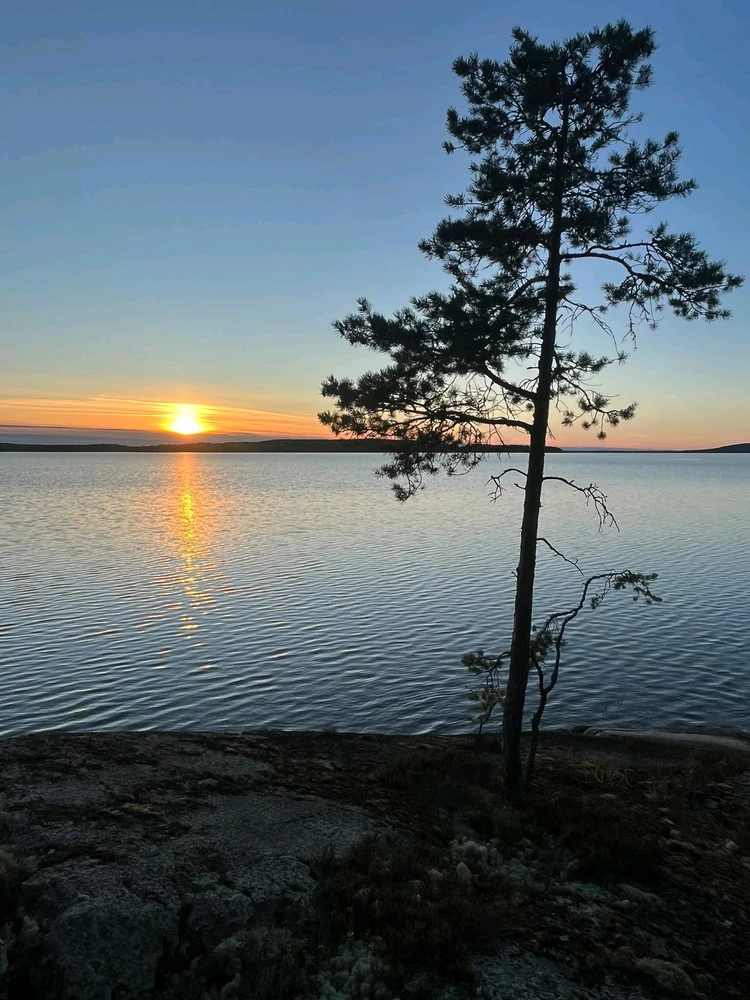 Bild eropgeluede vum Winter