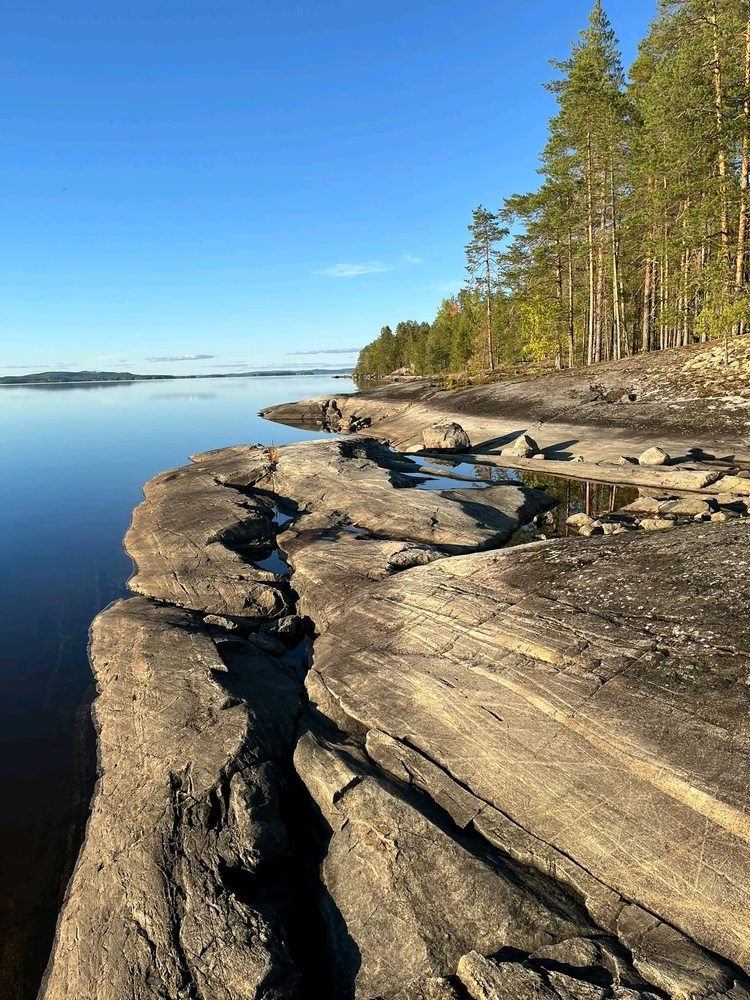 Bild eropgeluede vum Winter