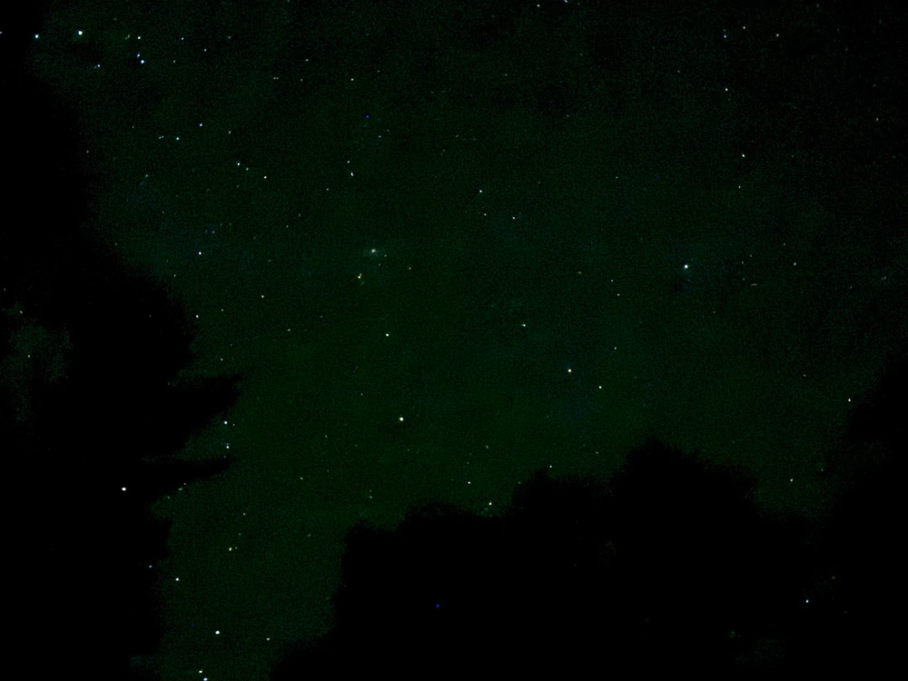 Image uploaded by Jeff