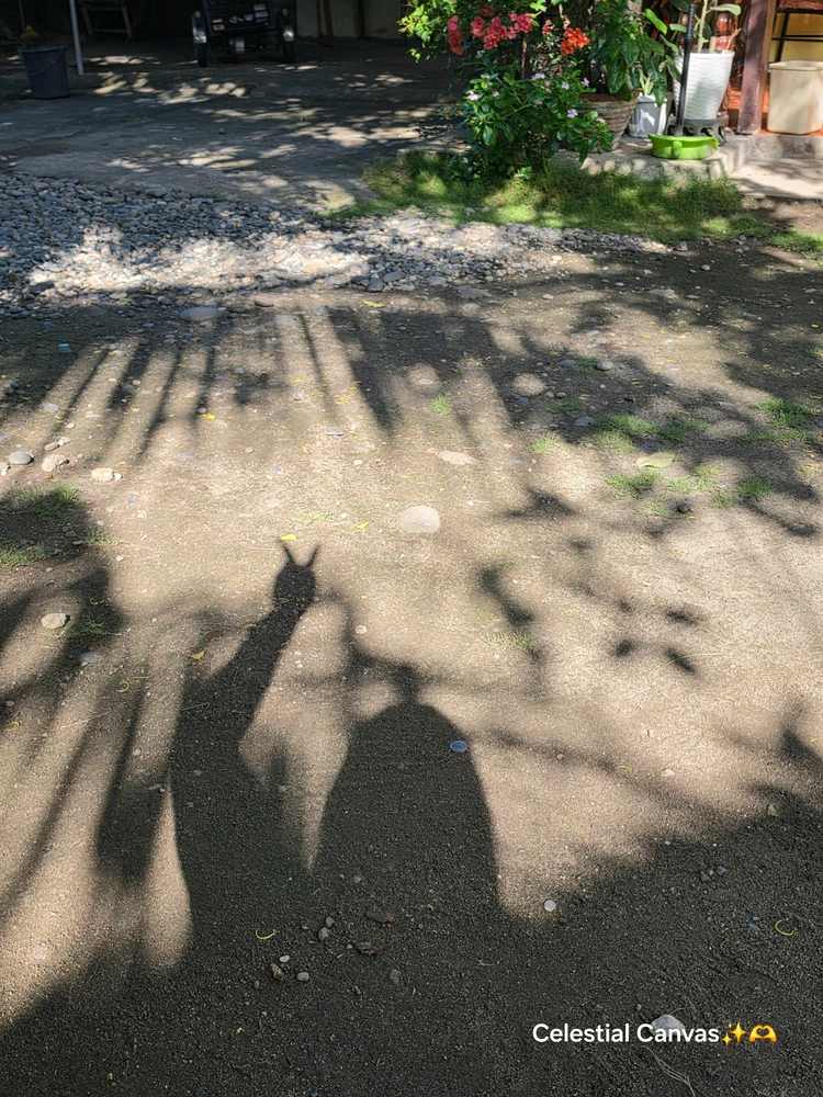 SM上傳的圖片