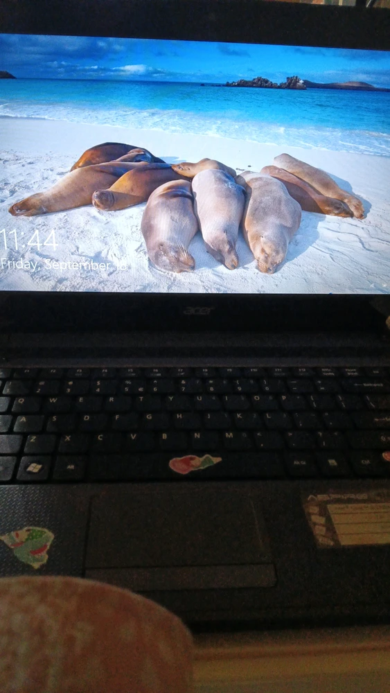 imaah 上傳的 GIF