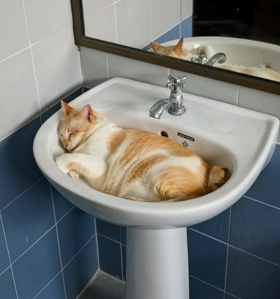 GIF uploaded by Guy