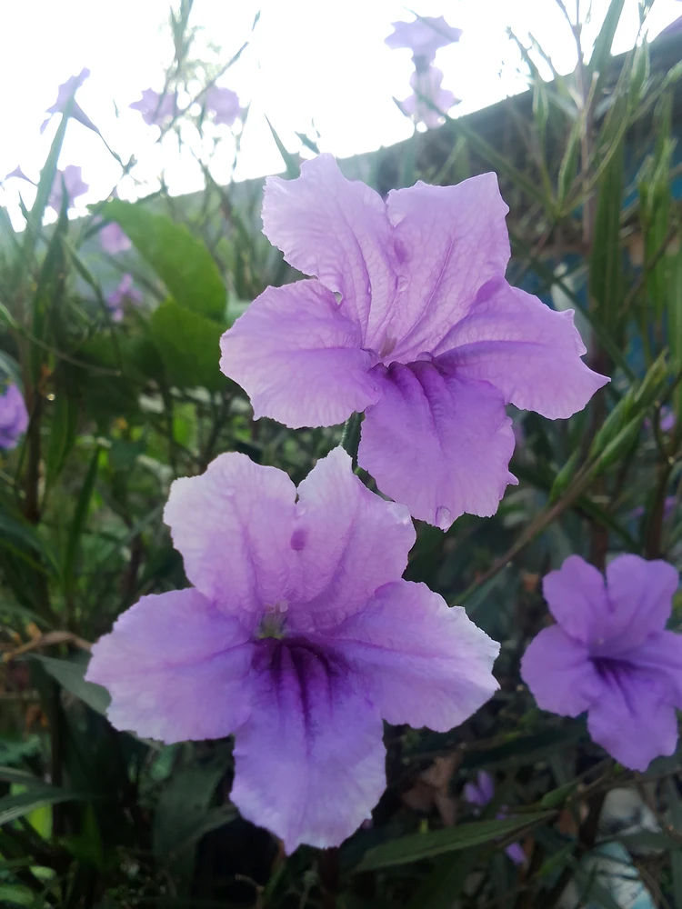 GIF uploaded by Ari Ellie