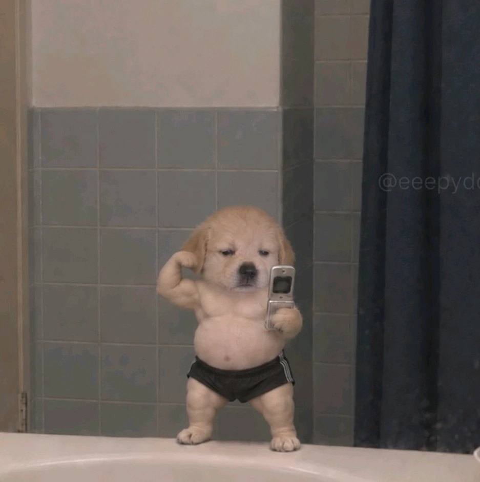 Ro 上傳的 GIF