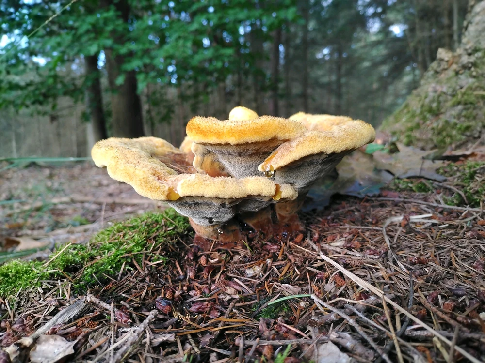 GIF uploaded by Stijn