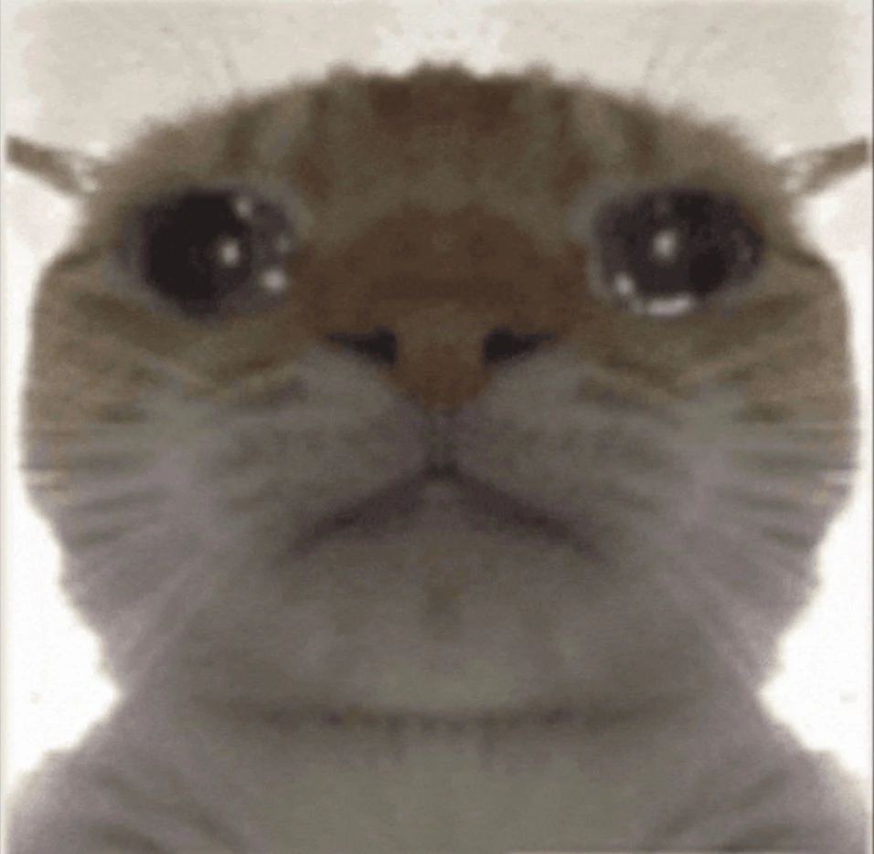 Dylan 上傳的 GIF