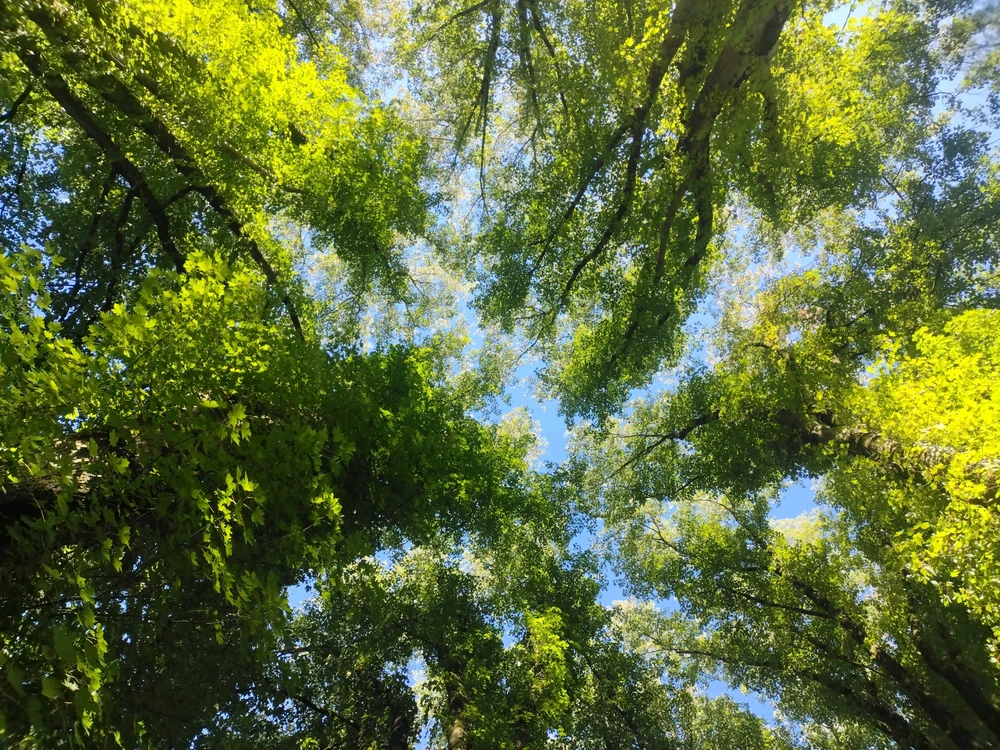 Stijn 上傳的 GIF