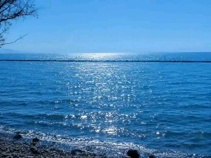 Image uploaded by Thraia
