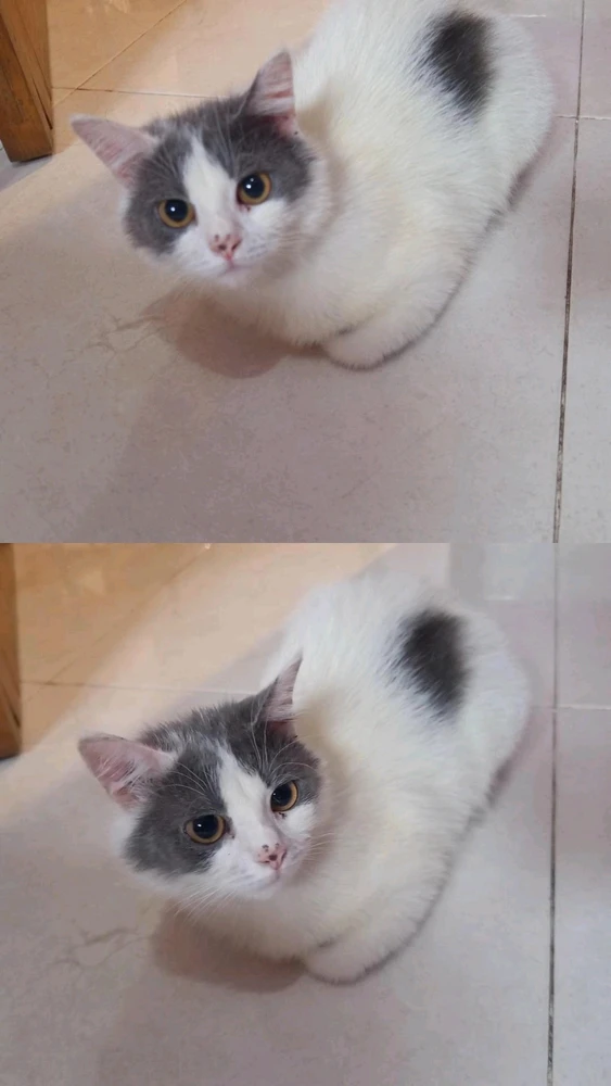 GIF uploaded by Liana