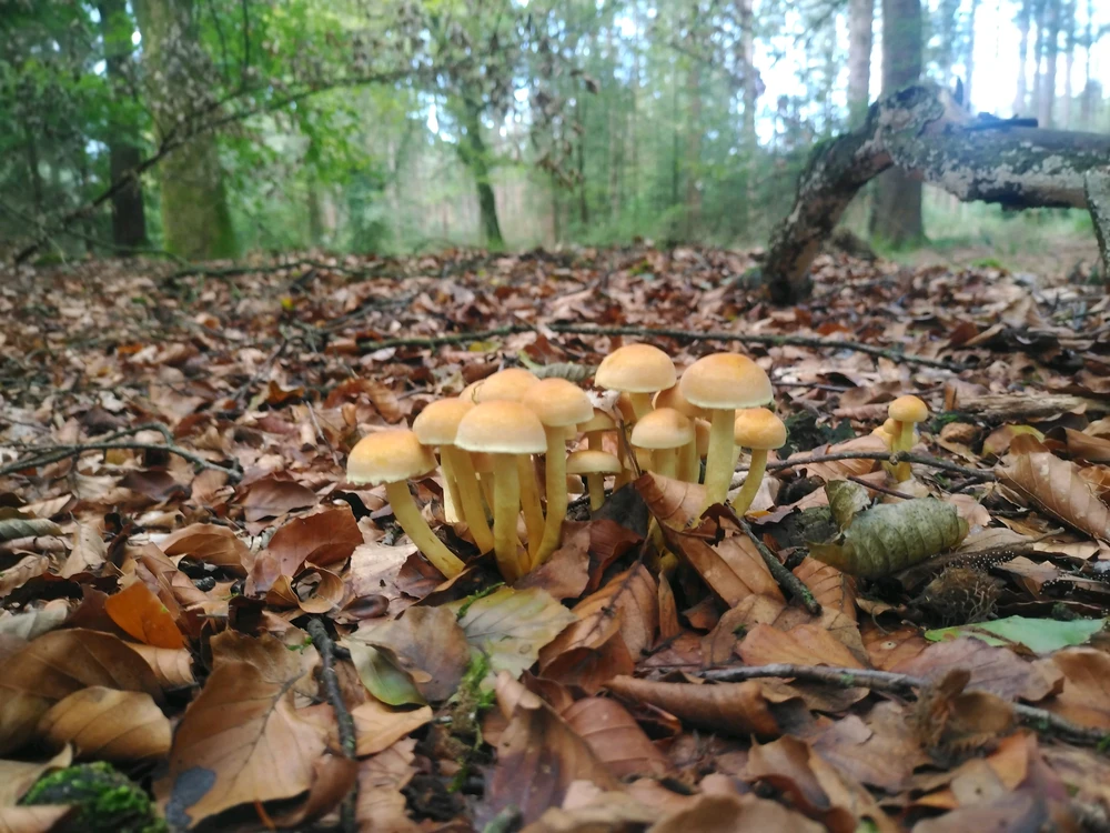 GIF uploaded by Stijn