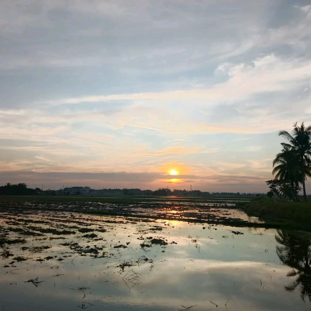 Image uploaded by Reah