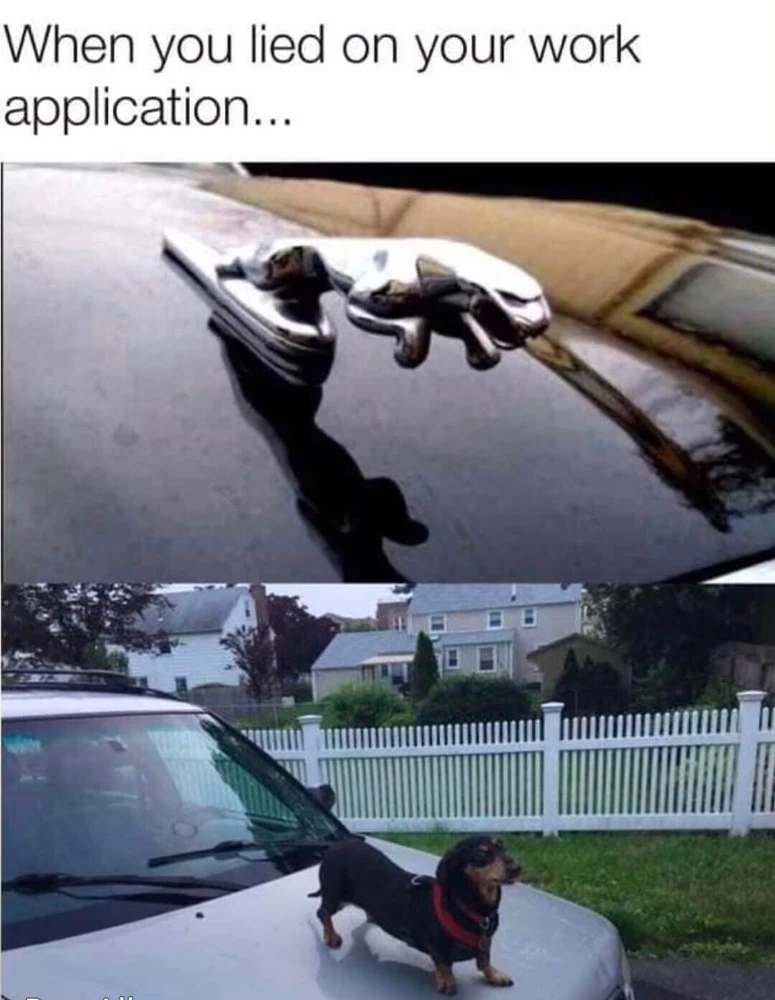 GIF uploaded by Allen