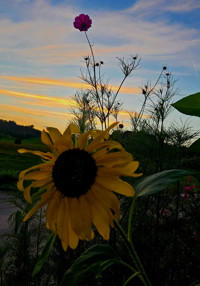 GIF uploaded by Edi