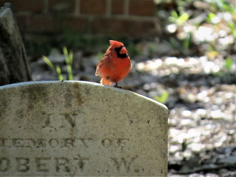 Jesse上传的GIF