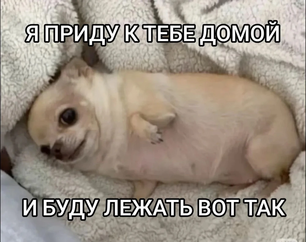 GIF uploaded by Daniel