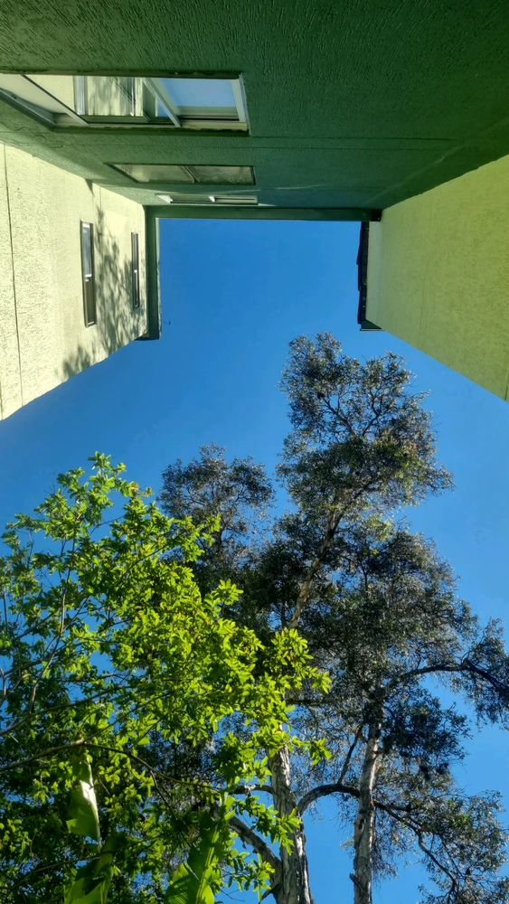 Andrés上传的GIF