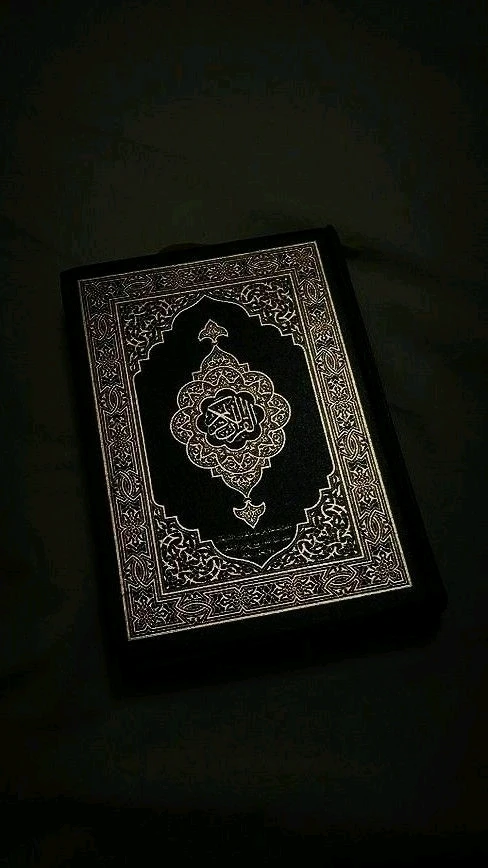 Salman Ahmed 上傳的 GIF