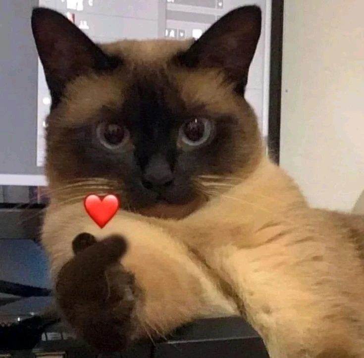 GIF uploaded by Luana