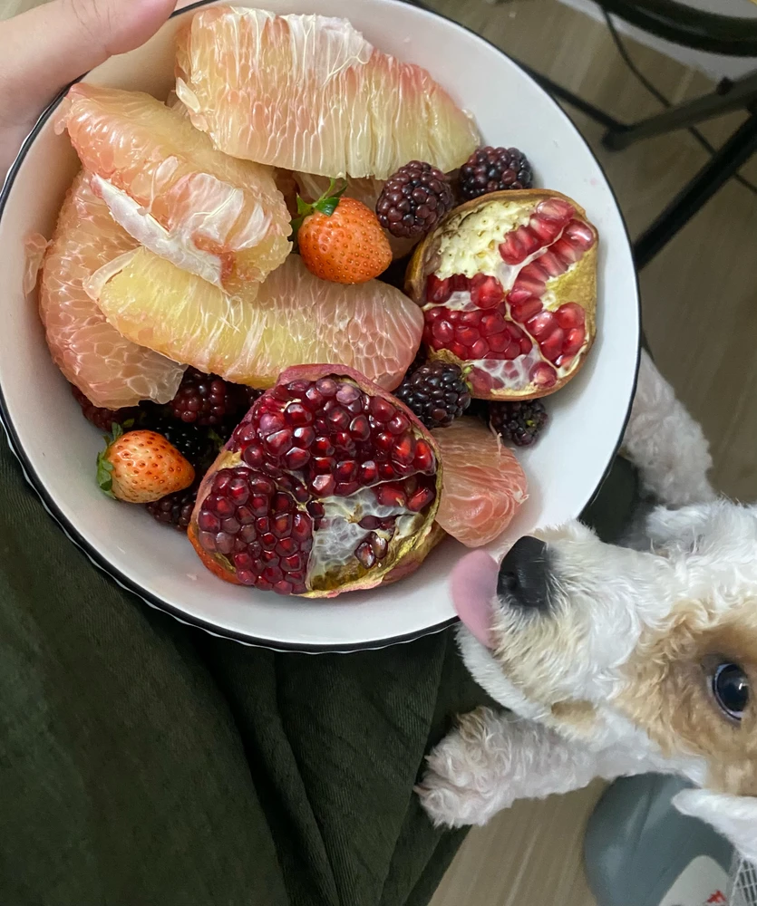 Image uploaded by Queen