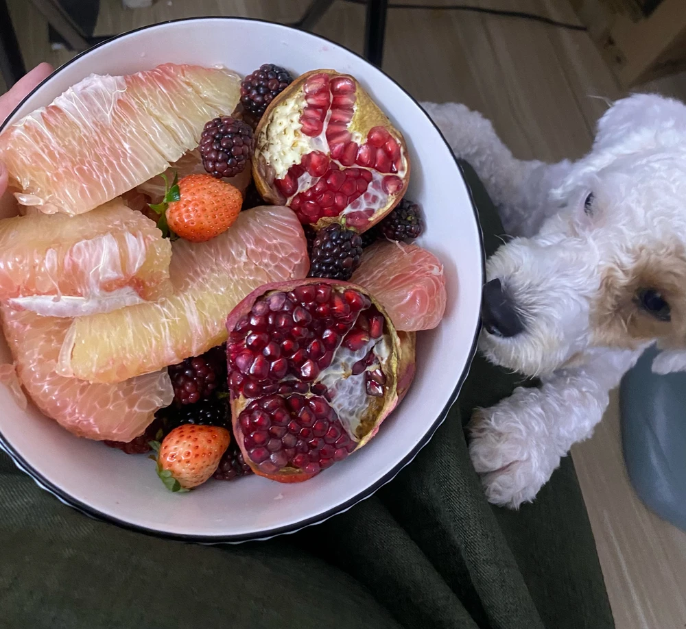 Image uploaded by Queen
