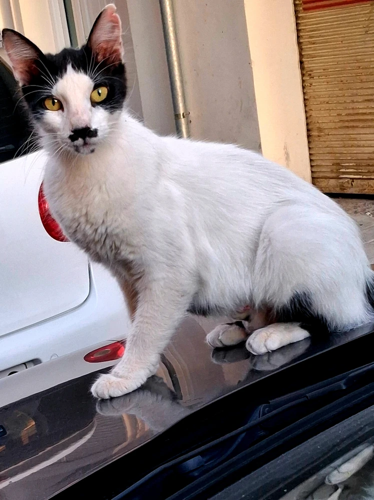 GIF subido por Michalis