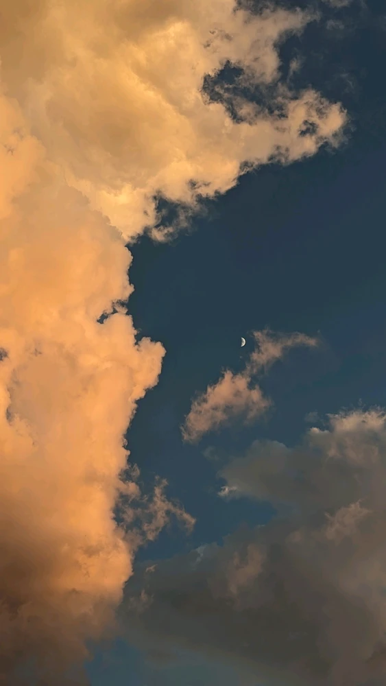 Fahim Farhan上传的GIF