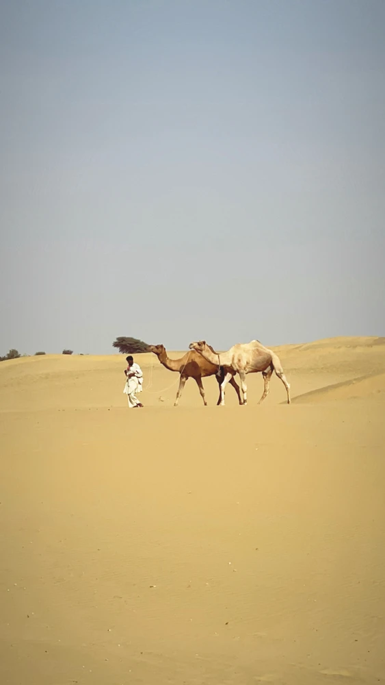 GIF uploaded by MRN