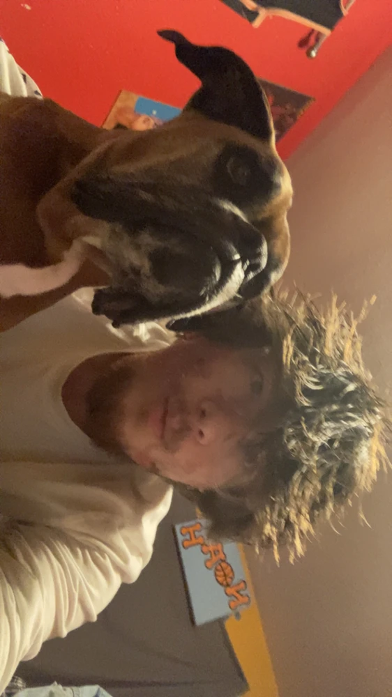 GIF uploaded by Noah