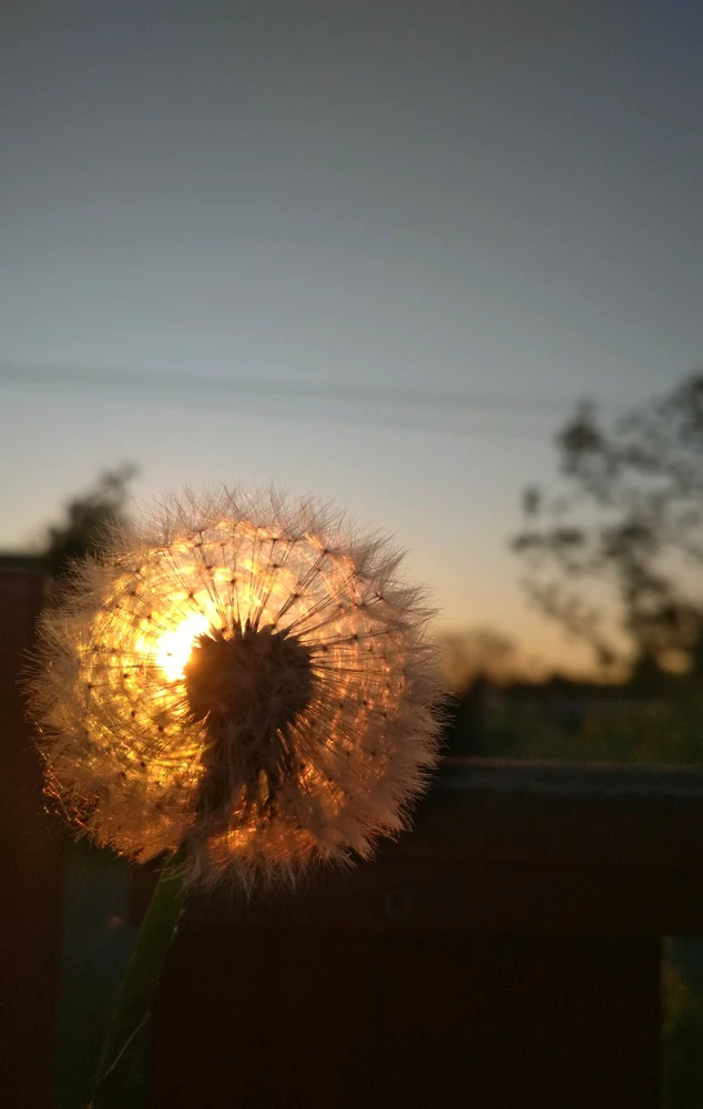 Szilvi上传的GIF