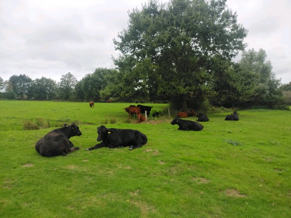 GIF uploaded by Stijn